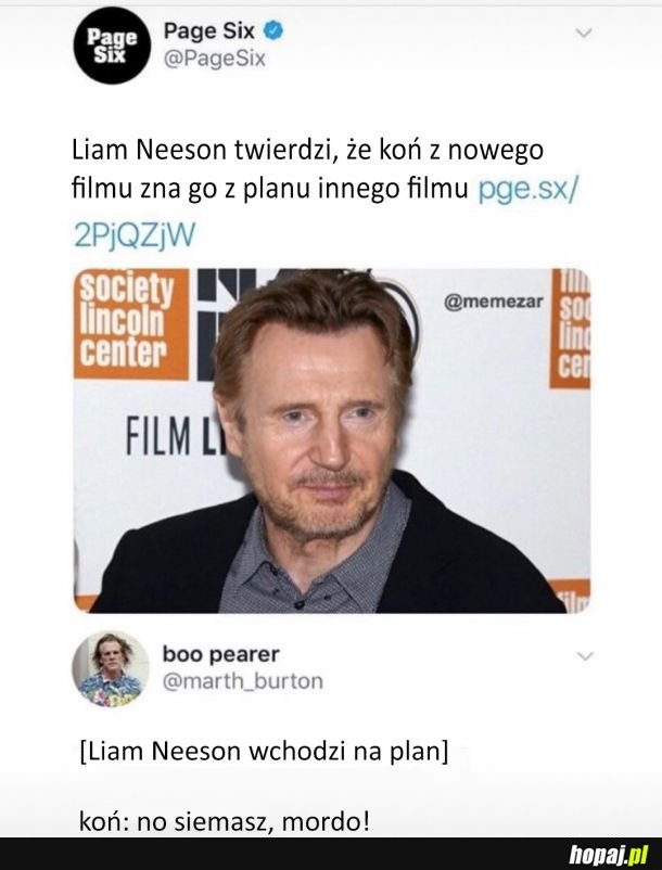 Liam Neeson jest naprawdę znany