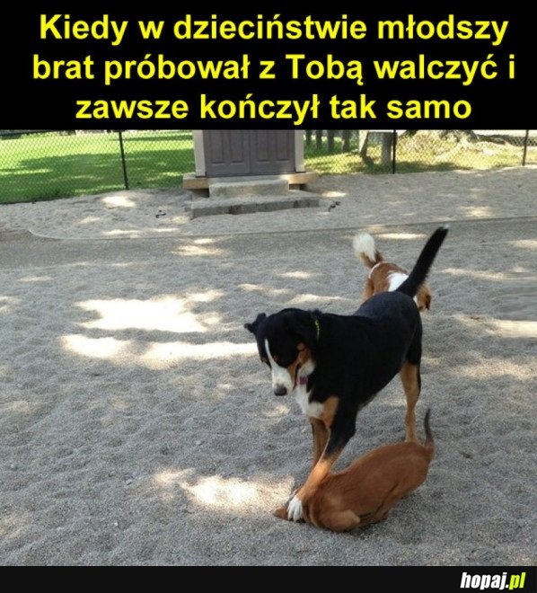 MŁODSZY BRAT