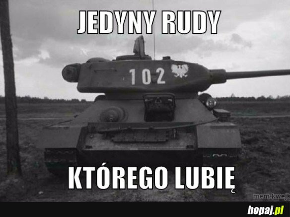 Jedyny rudy