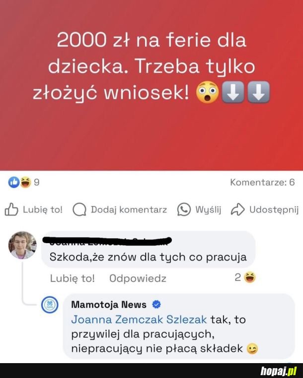 No szkoda