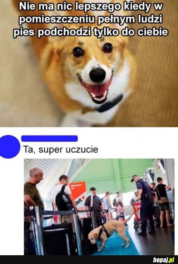 Super uczucie