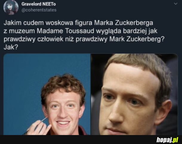 Interesujące
