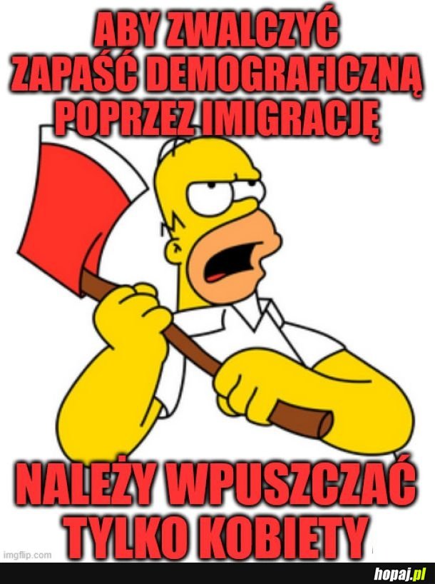 Faceci imigranci nie zwiększą nam dzietności