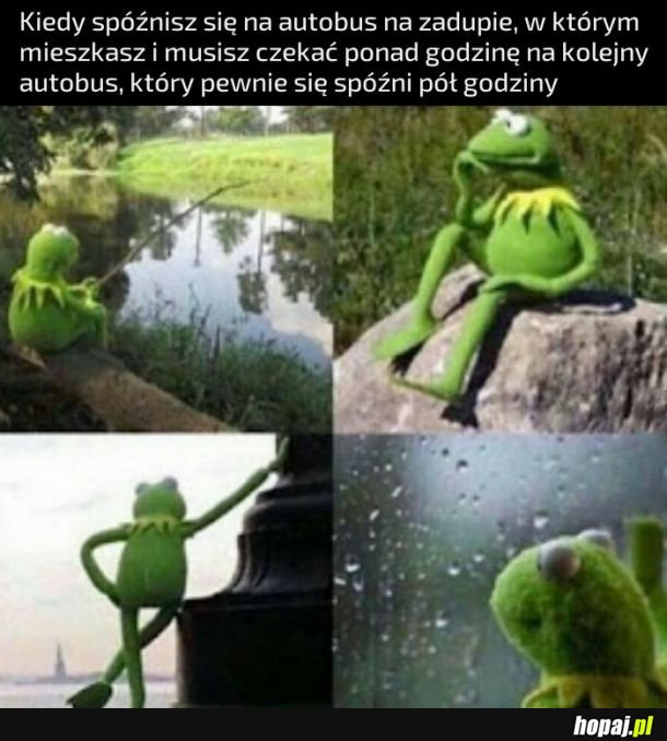 Spóźniony na autobus