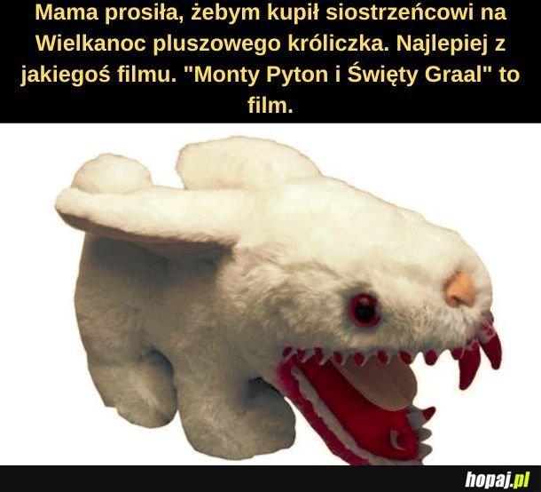 Króliczek. 