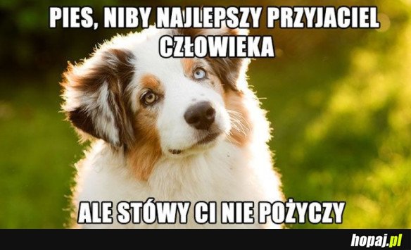 TAKI Z NIEGO PRZYJACIEL