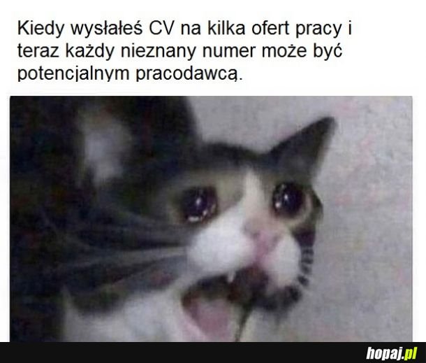 Jest stresik