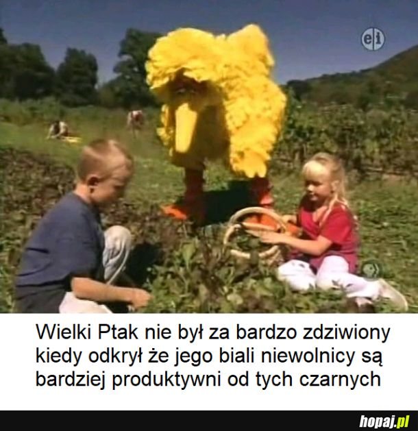 Niewolnicy