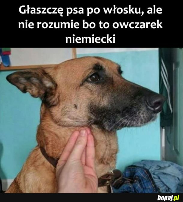  Głaskanko