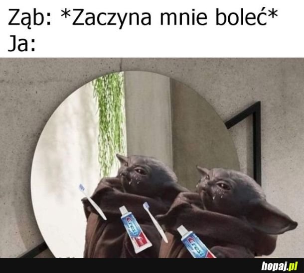 Ząb