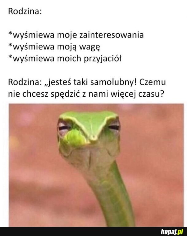 Typowa rodzinka