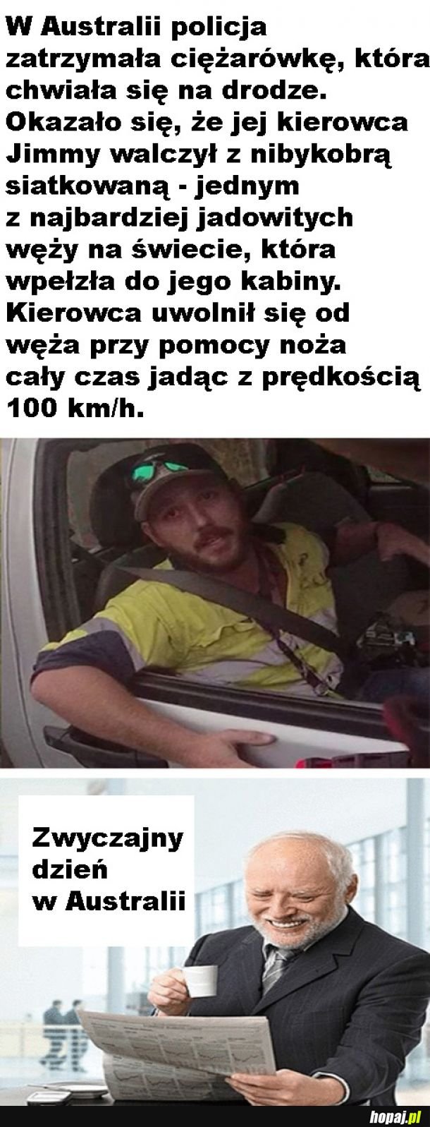 Tymczasem w Australii