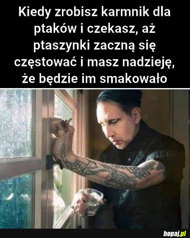  Kiedy zrobisz karmnik 