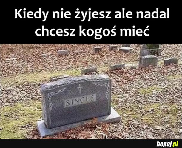 Samotność zabija