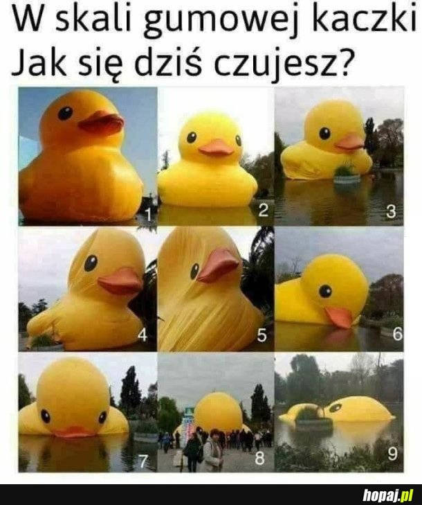 Jak samopoczucie? 