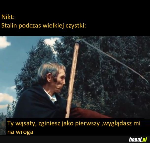 Wielka czysta Stachu Jonsa