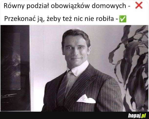 Obowiązki domowe