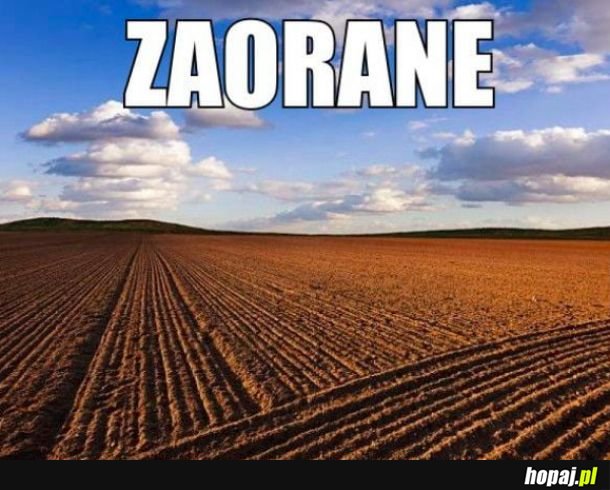 Zaorane