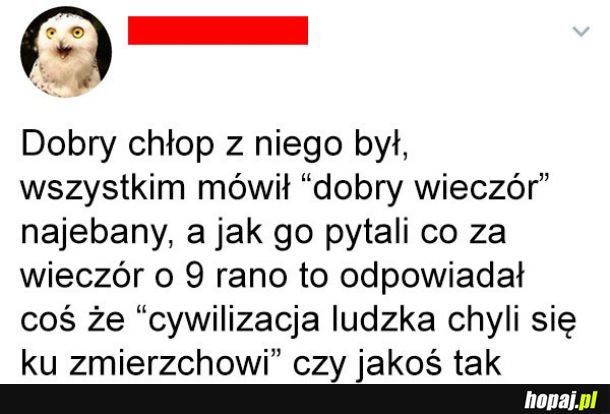 Dobry chłopak