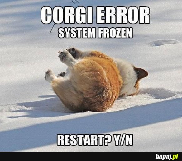 Corgi error