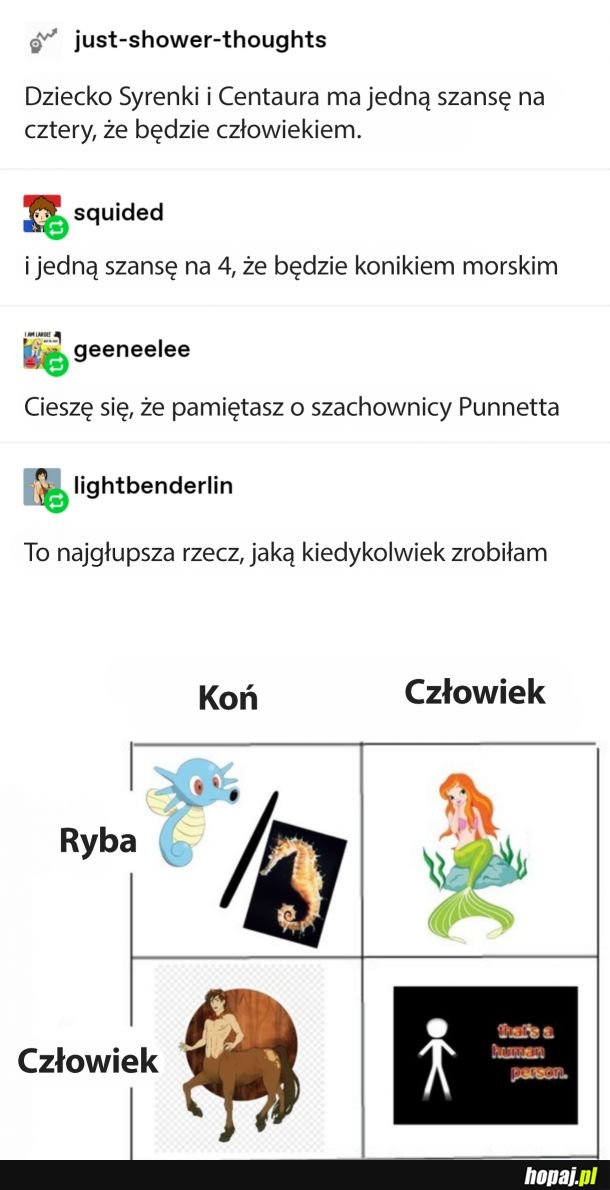  Pół koń, pół ryba