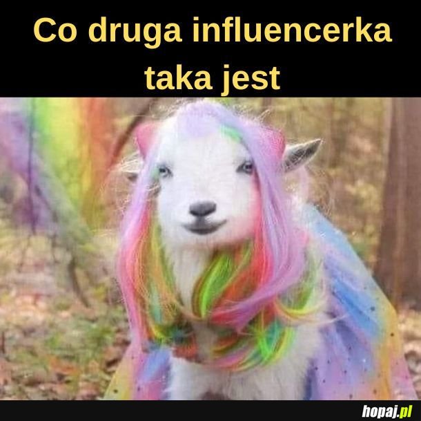 Influencerka. 