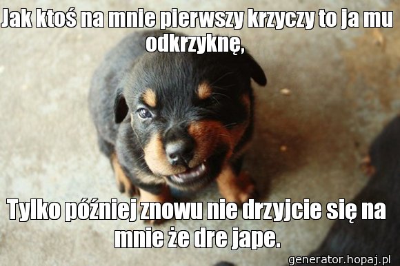 Jak ktoś na mnie pierwszy krzyczy to ja mu odkrzyknę, 