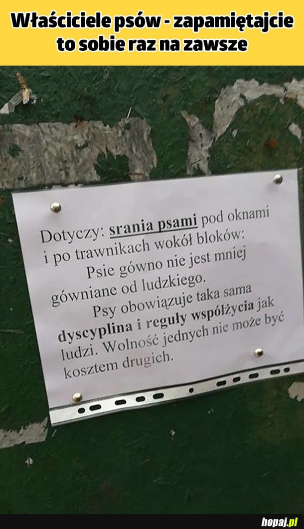 Zapamiętajcie raz na zawsze 