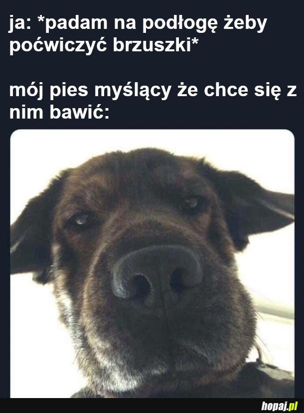 Postanowienia na nowy rok