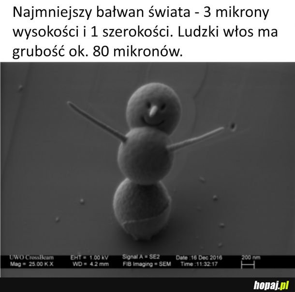 Mikroskopijny bałwan