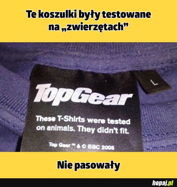 Testowane koszulki