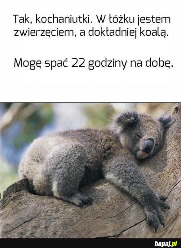 W łóżku
