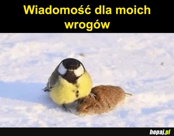 Wiadomość