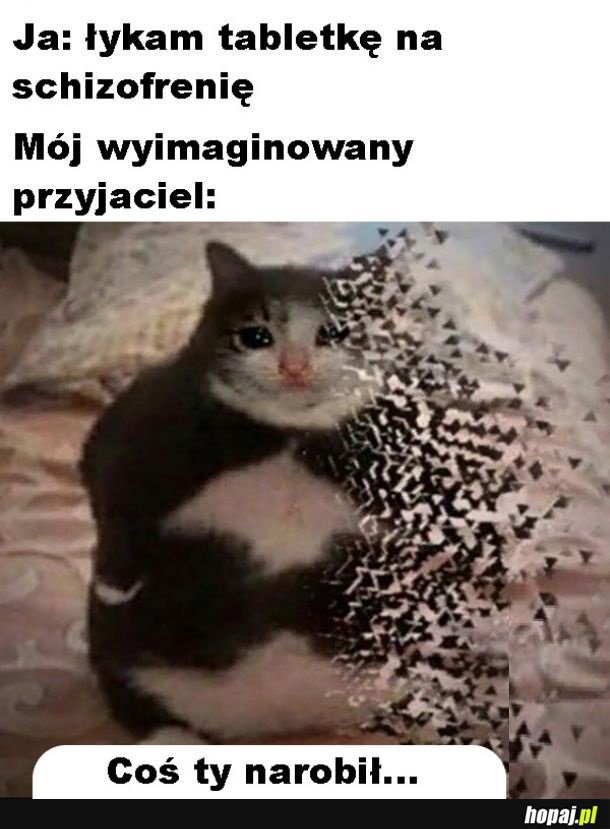 Żegnaj przyjacielu