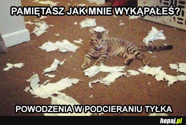 Zemsta kotka 