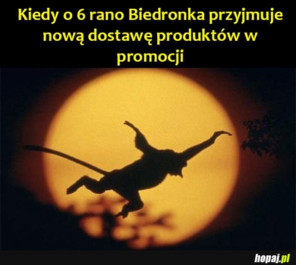 Januszowe życie