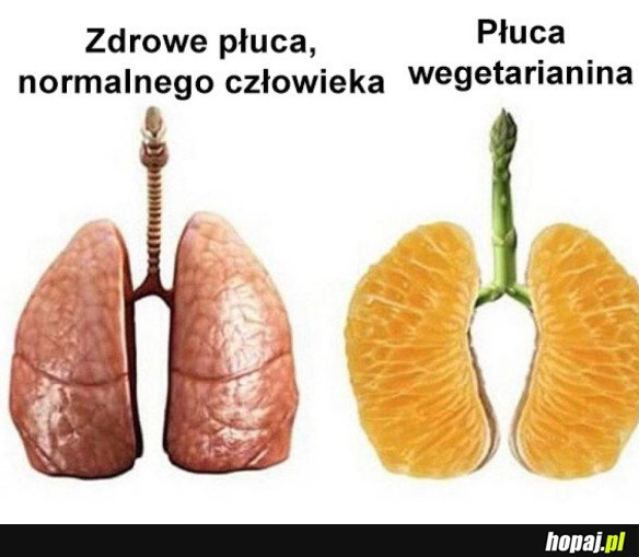 WEGE VS NORMALNY