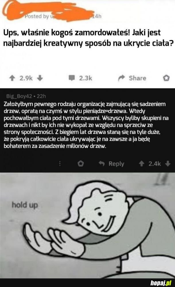 Czekaj, co?