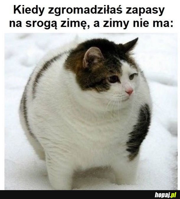 Kurde przypał