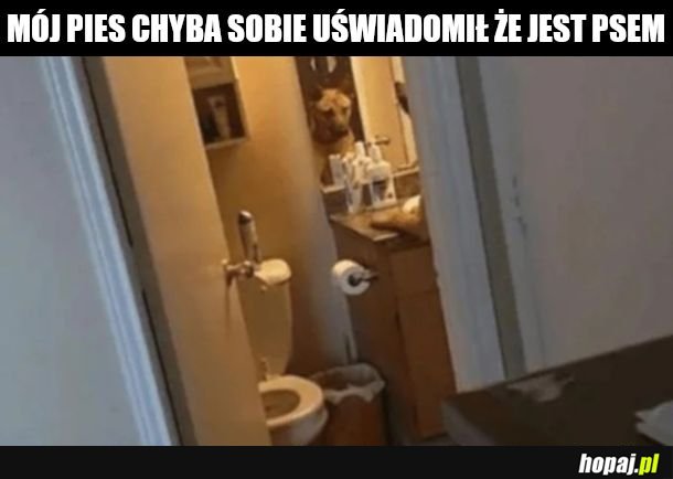 Lustro