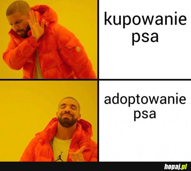 Nie kupuj adoptuj