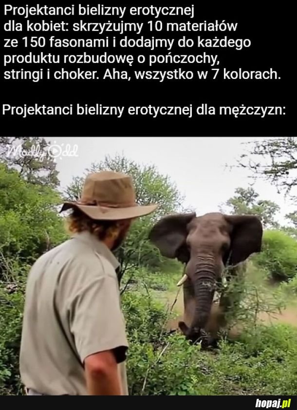 No dobra może być jeszcze dziura 