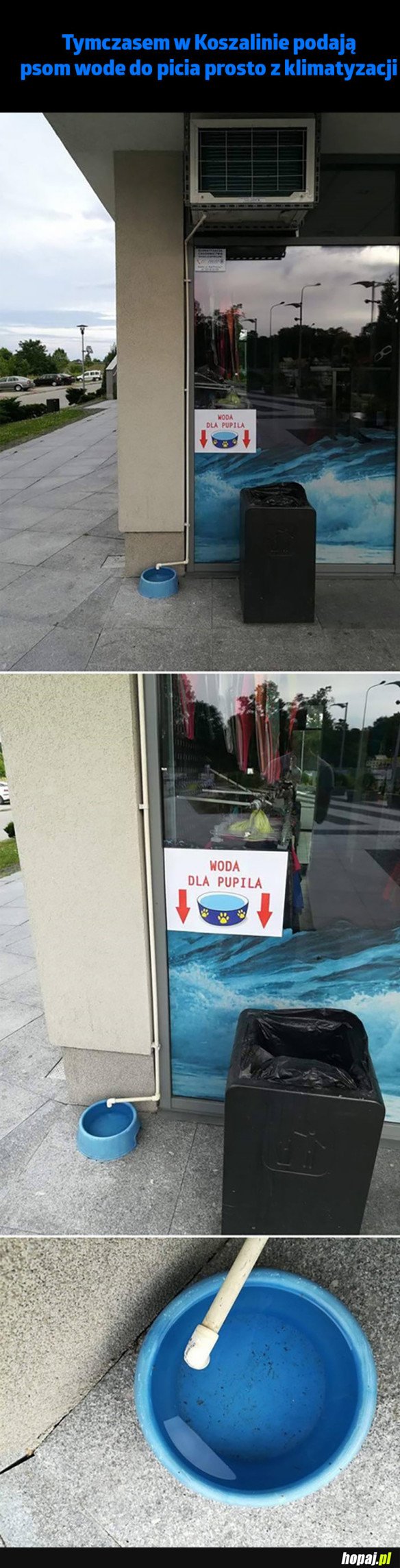 NIE WIEM, JAK TO SKOMENTOWAĆ