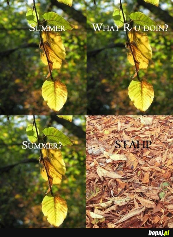 Summer Stahp