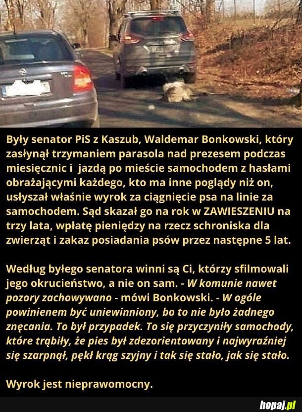 Oczywiście, winni są wszyscy, tylko nie on
