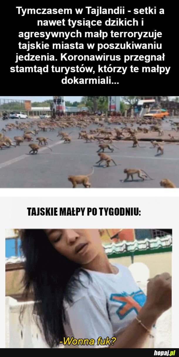 Banany same się nie zarobią
