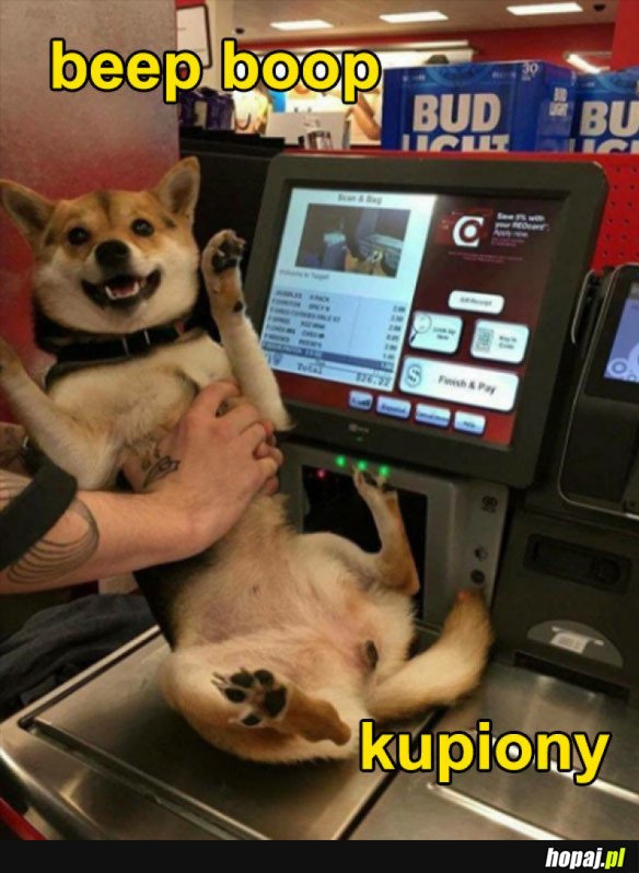 PIESEŁ