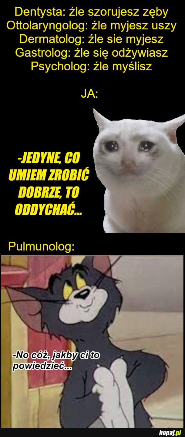 Wszystko źle