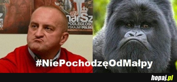 #NIEPOCHODZĘODMAŁP