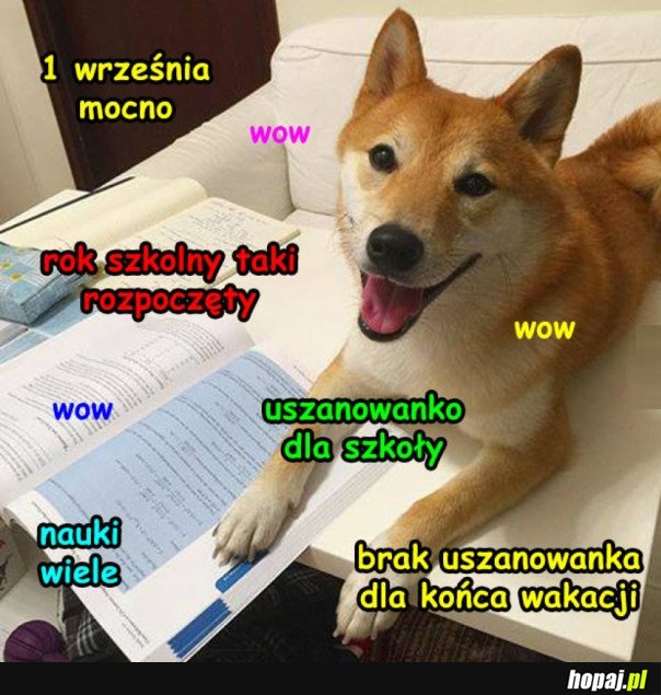 PIERWSZY DZIEŃ SZKOŁY